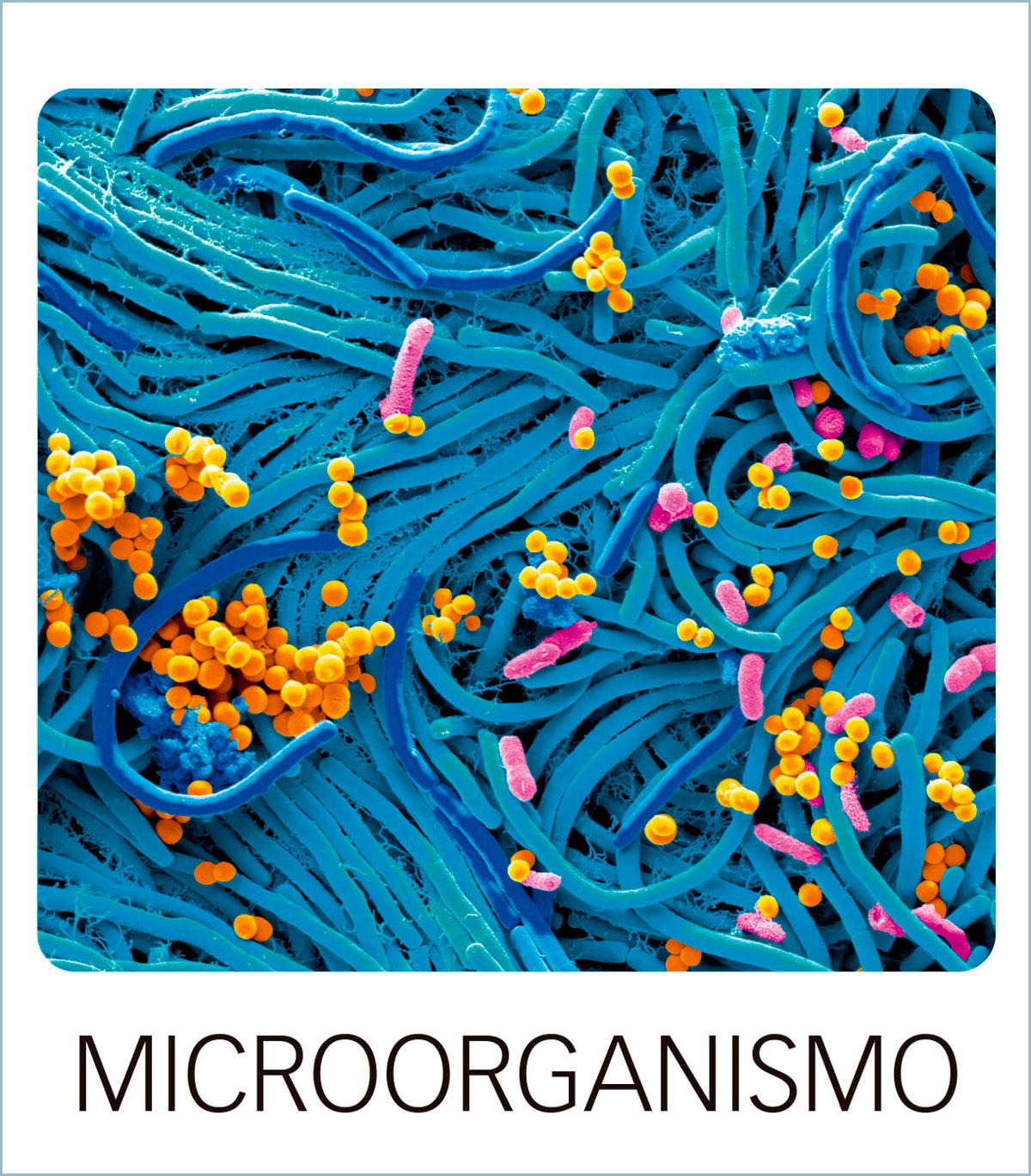 Click. Material del alumnado. Virus y bacterias. Microorganismo